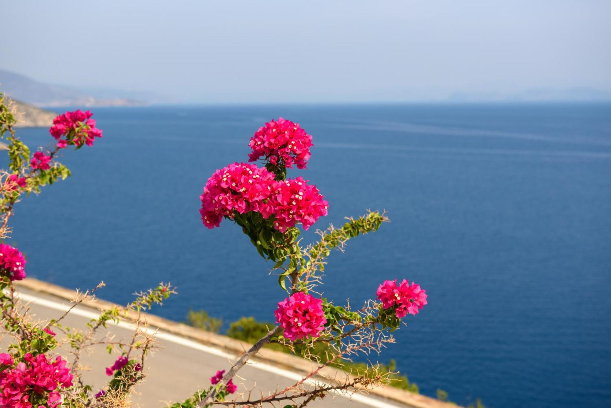 Vila Nefeles Arkadiko Chorio Exteriér fotografie